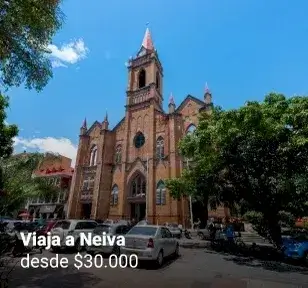 neiva